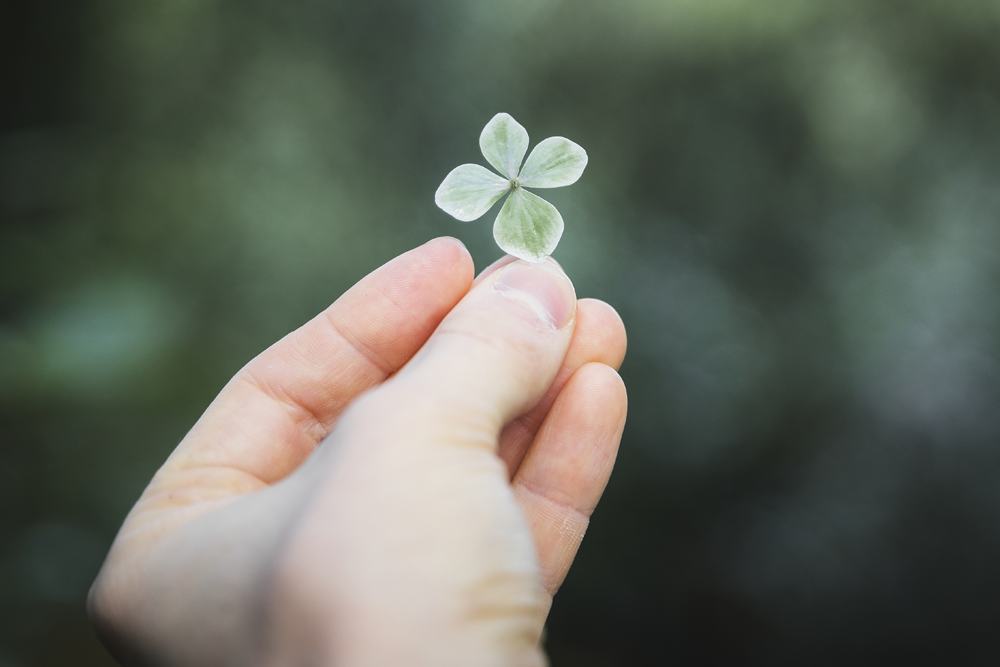Logo Gaby Limberg Coach Vitaliteit en Geluk Klavertje Vier Geluksbeleving